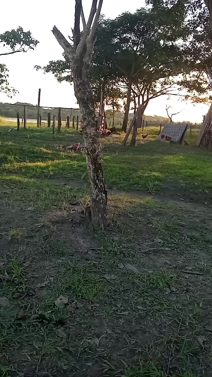 @luiswayasi.