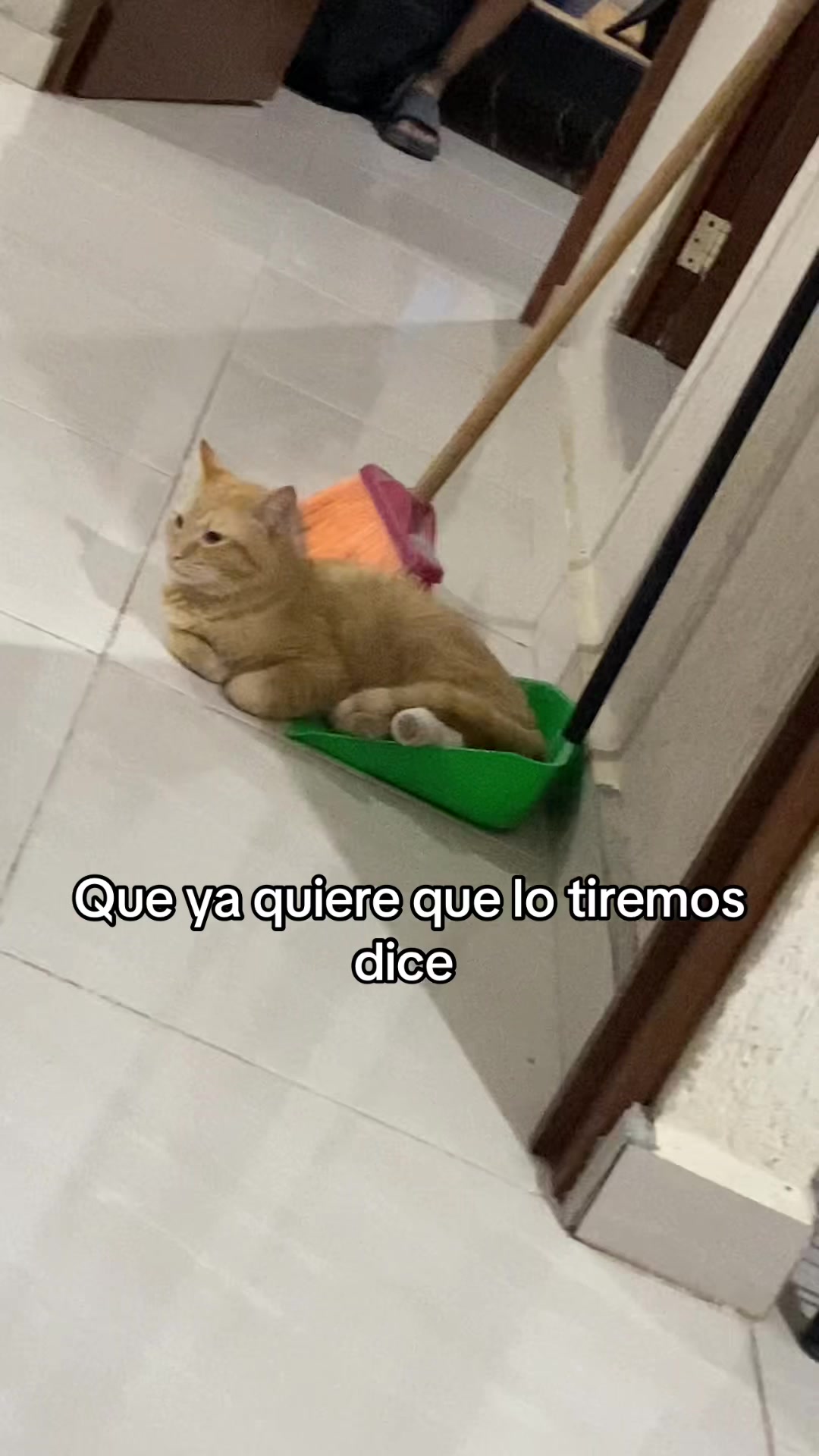 @Nancy Arreola