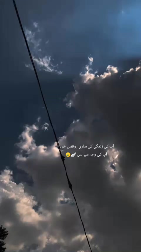 @ماہرہ ملک⚜️🪽