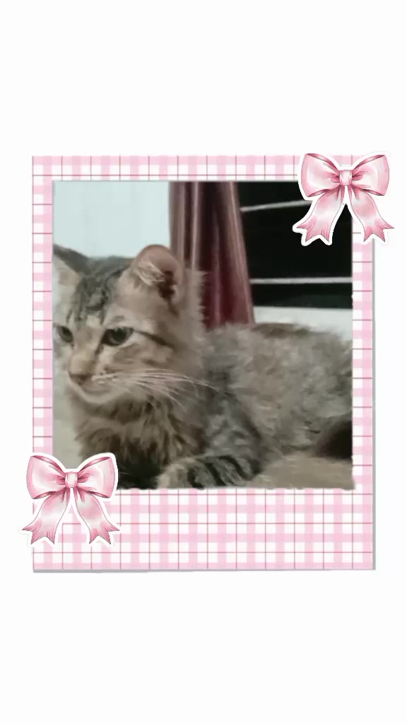 @Ritha Hartati