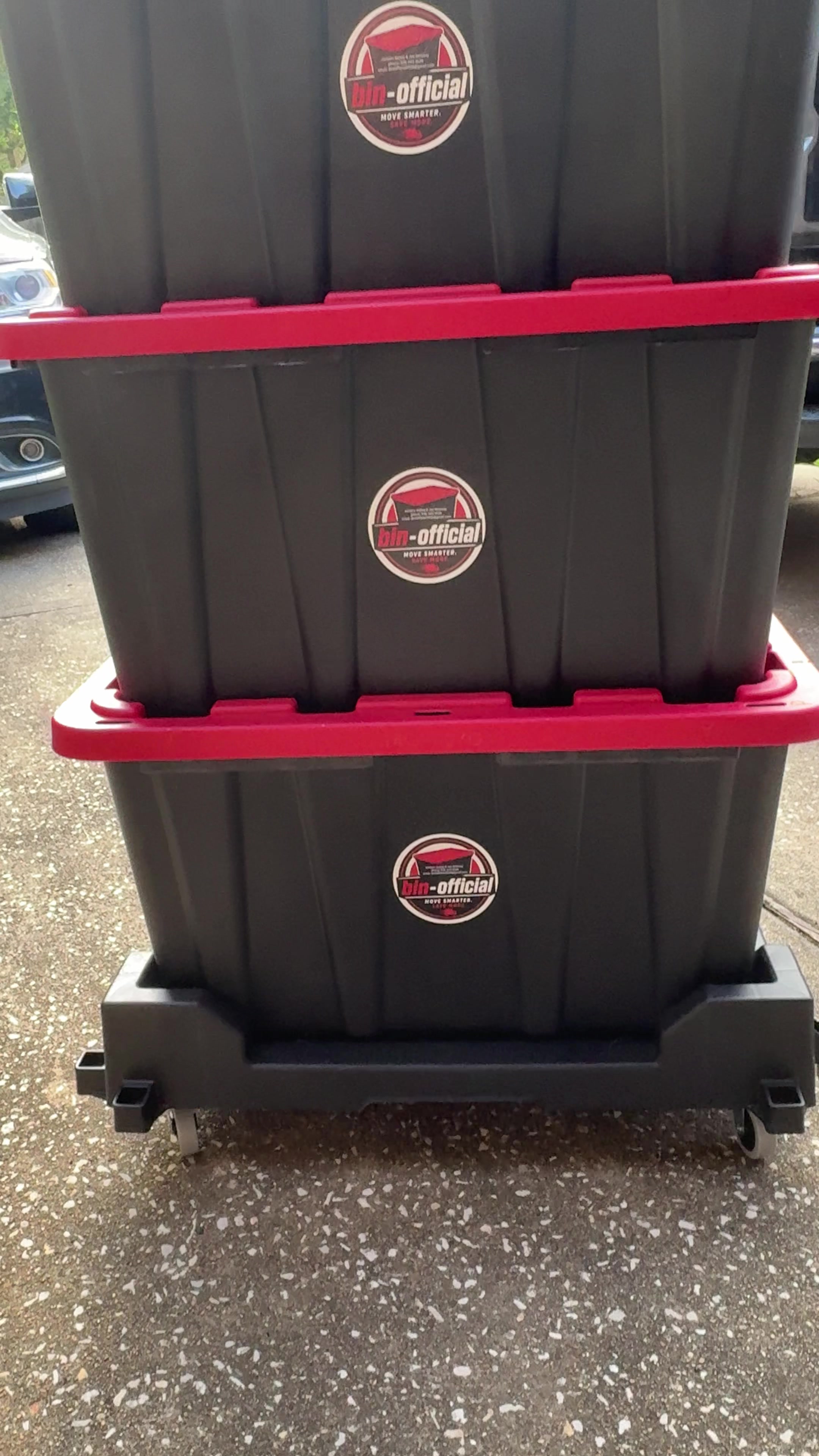 @Bailey Attaway | Bin-official