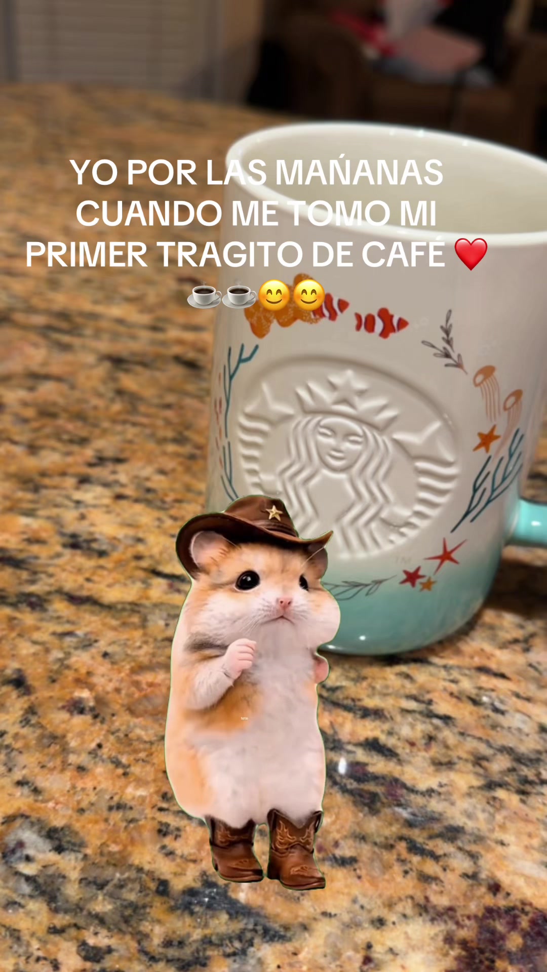@maria s rodriguez