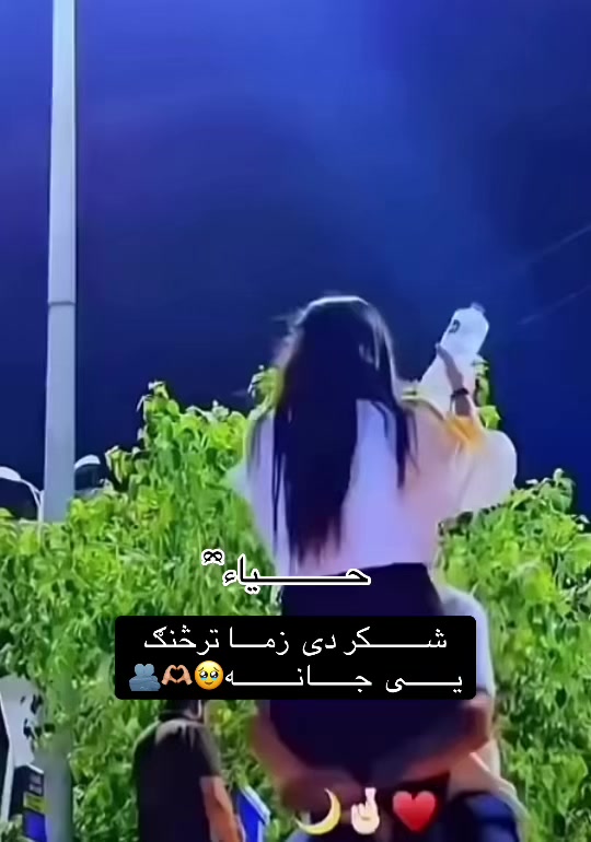 @𓆩حـــــــــــــــیاء𓆪