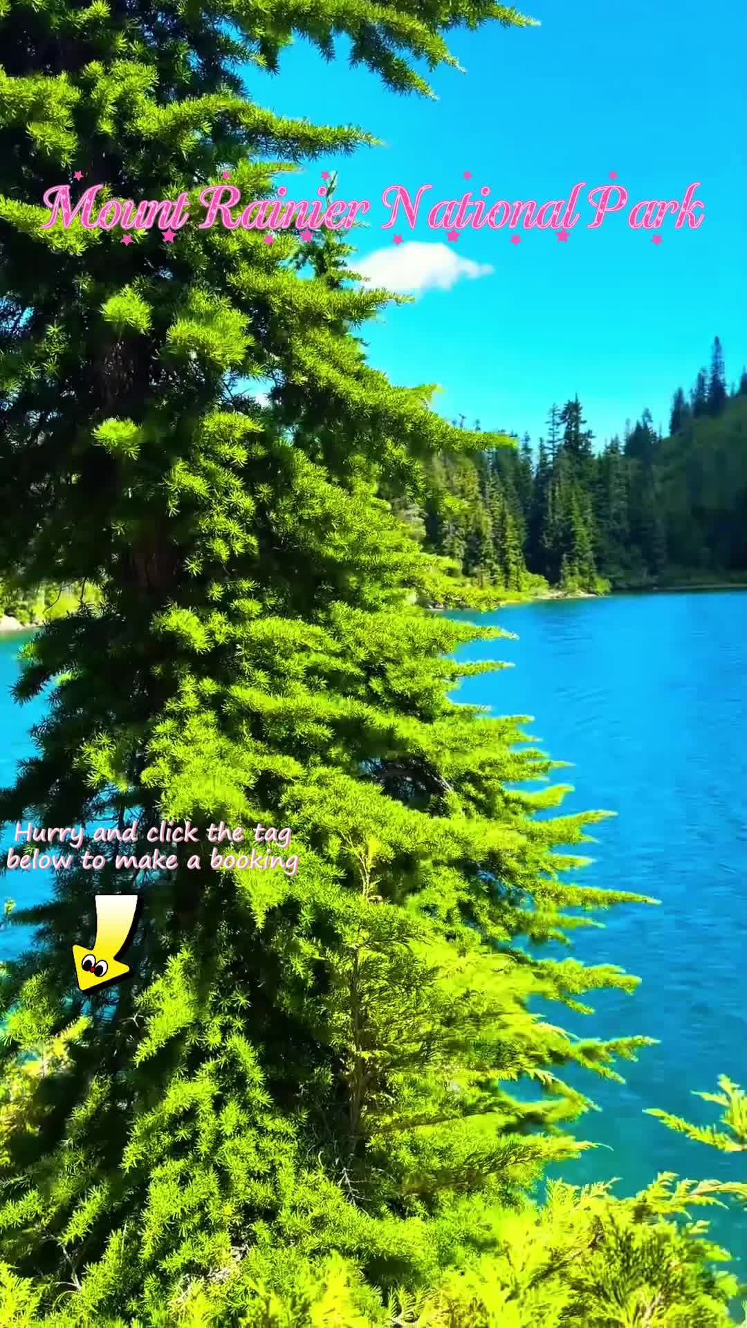 @palyajzmo45