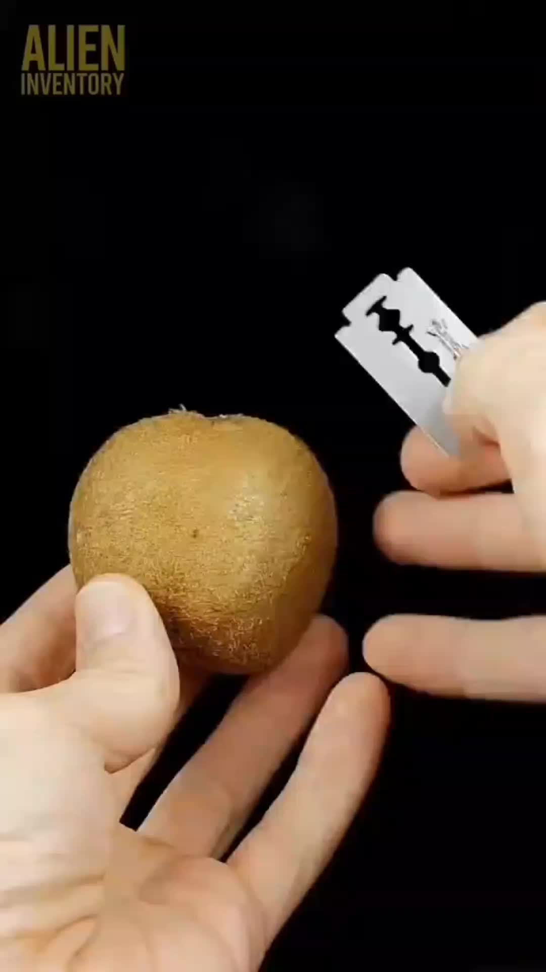 @🕊️𝕊𝕜 𝕊𝕙𝕒𝕜𝕖𝕓 𝕧𝕒𝕚🕊️