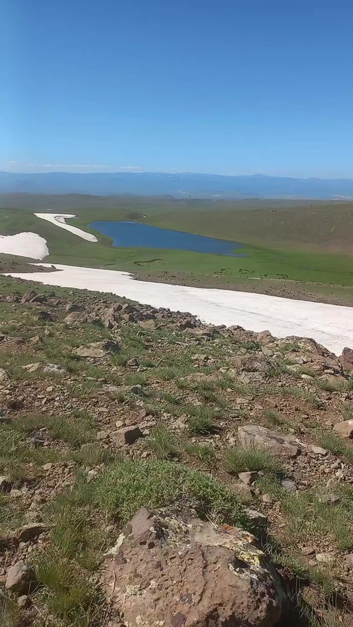 @yılmaz mustafa şen