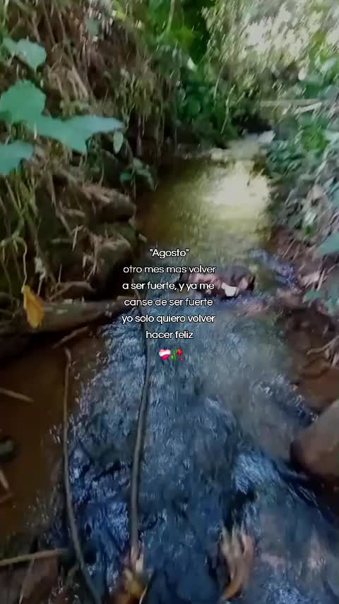 @🧔🏻♂️Leo,Gène👸🏻🦖