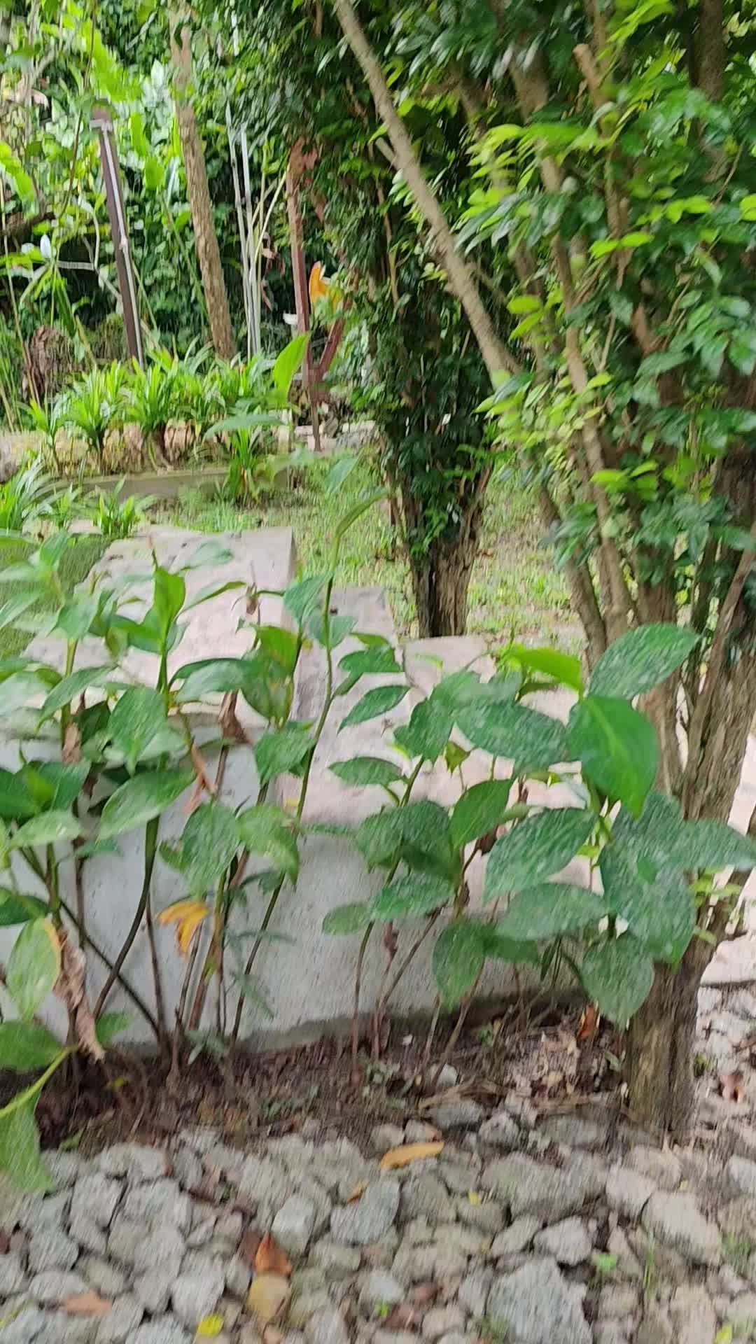 @padubeb2