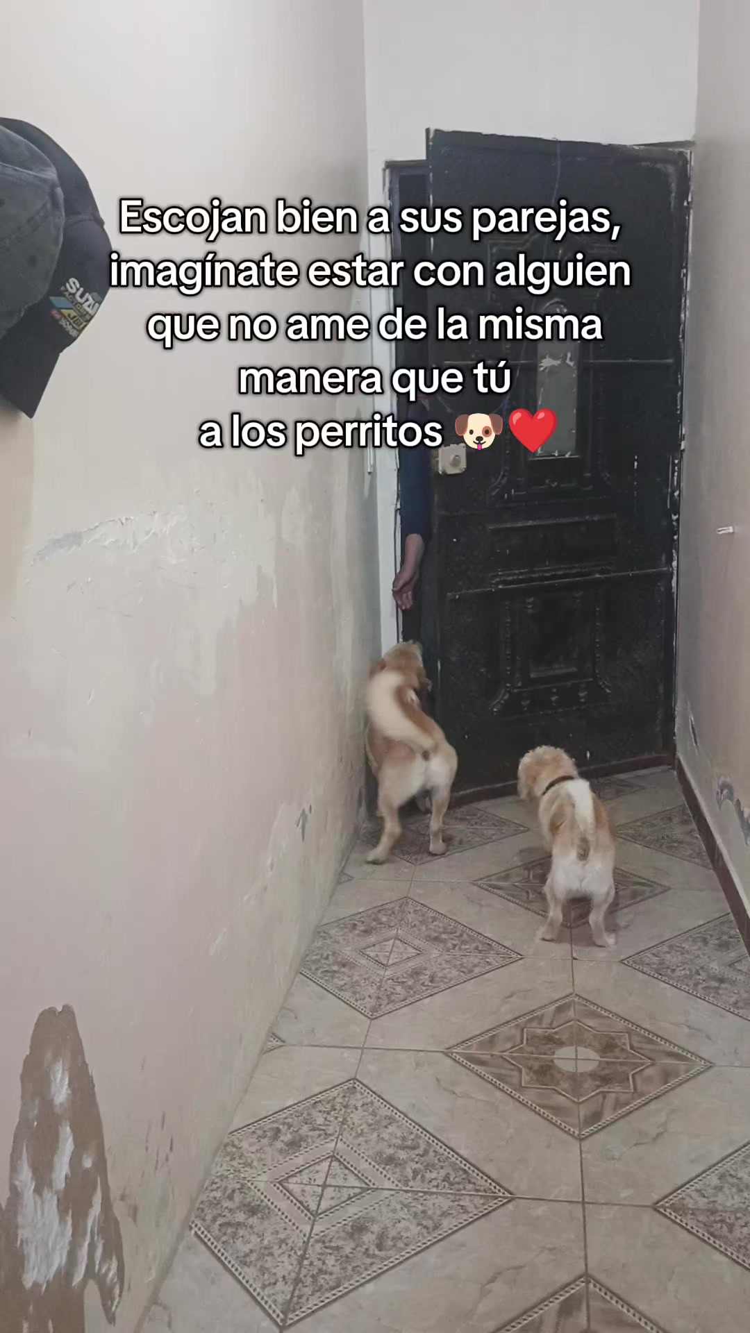 @Rubí 💎 Cantos💚