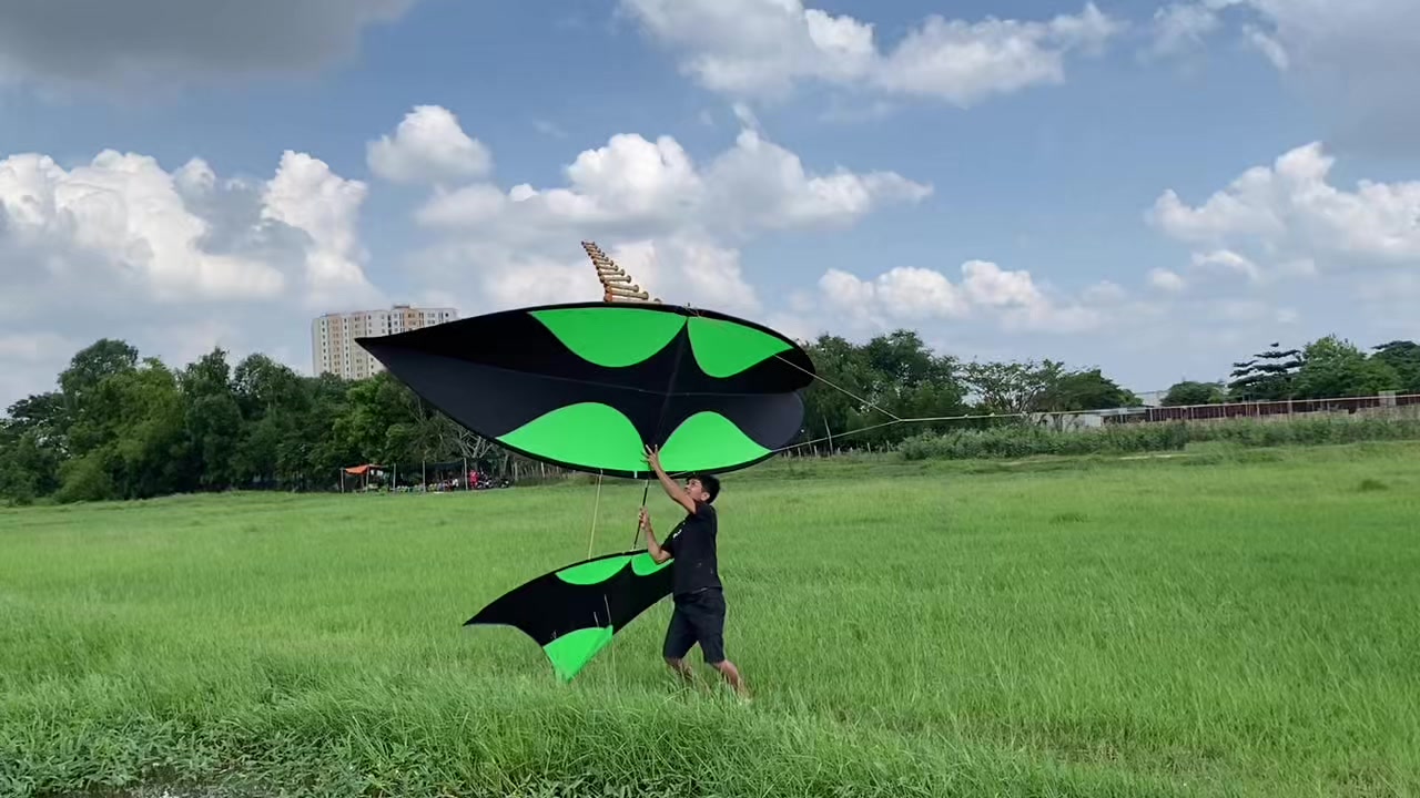 @Thả diều c&ugrave;ng Lợi