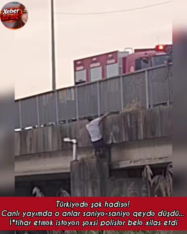 @xeber efir✅