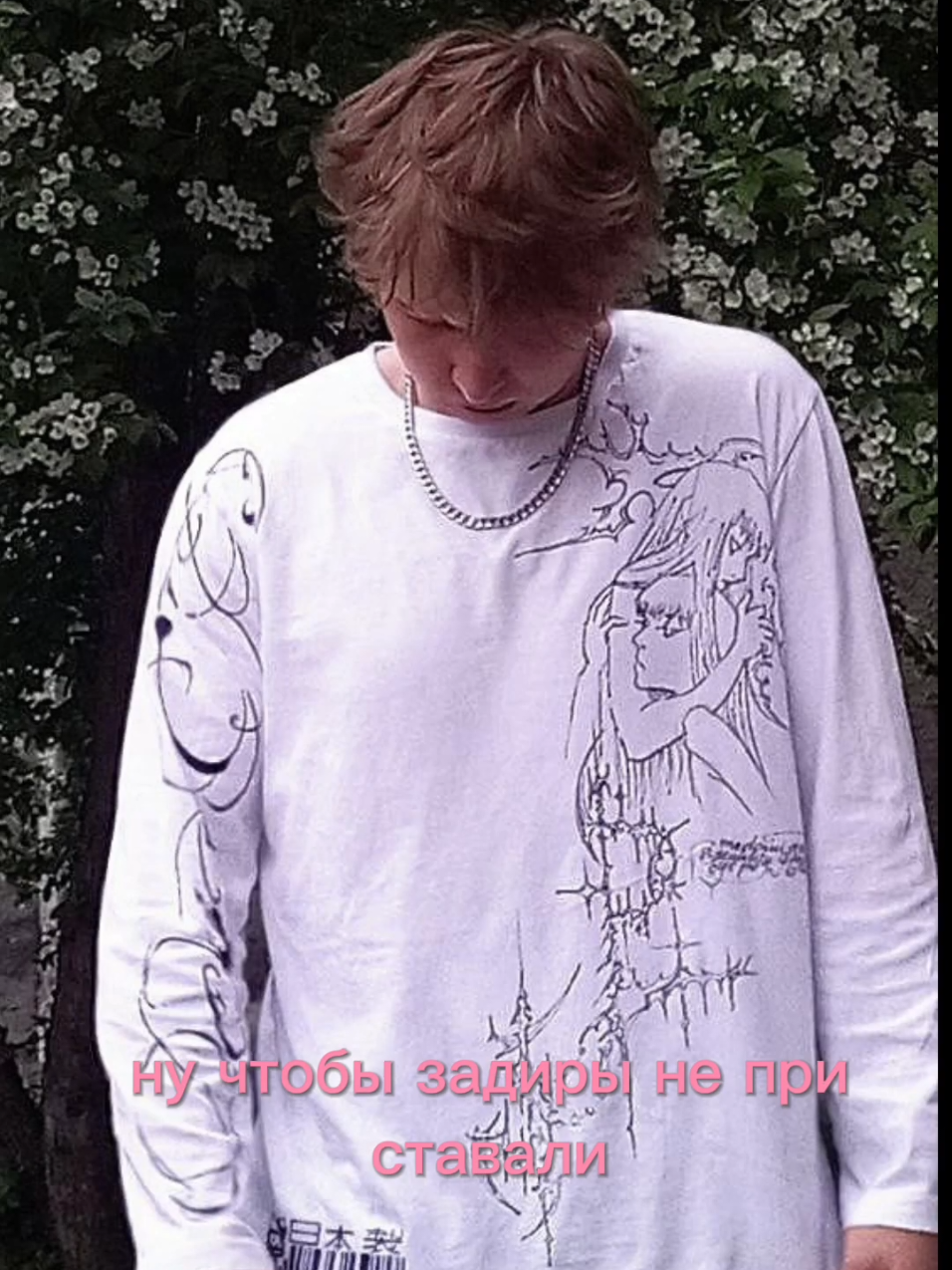 @medovui19см
