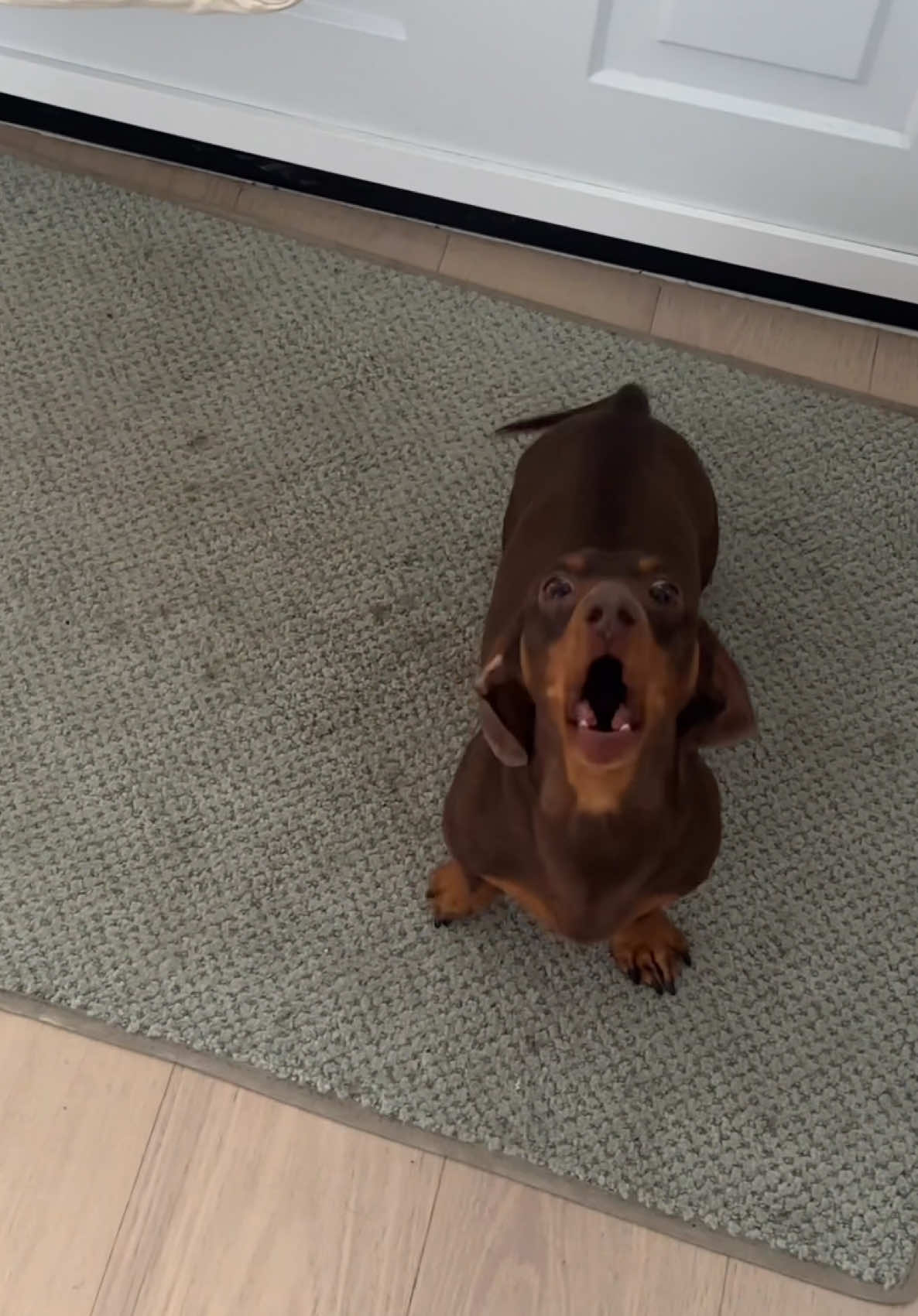 @sebbythesausage