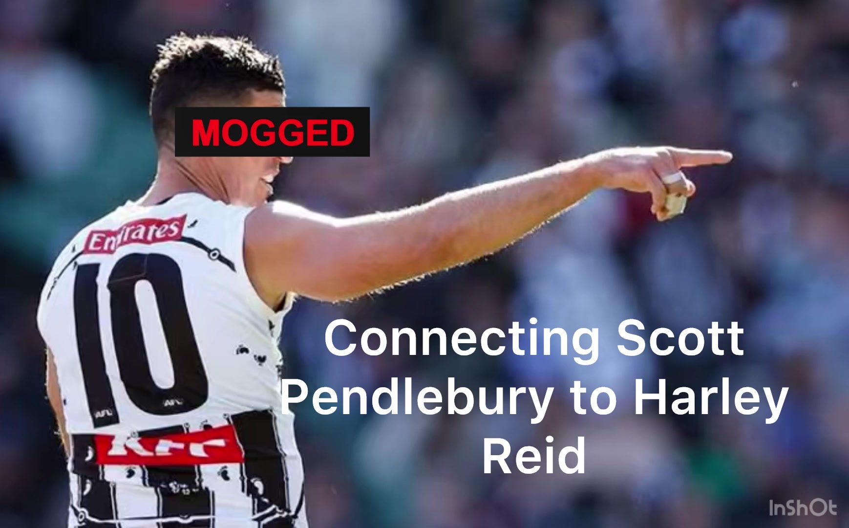 @Reid.szn.9💙💙💙🦅💛💛💛