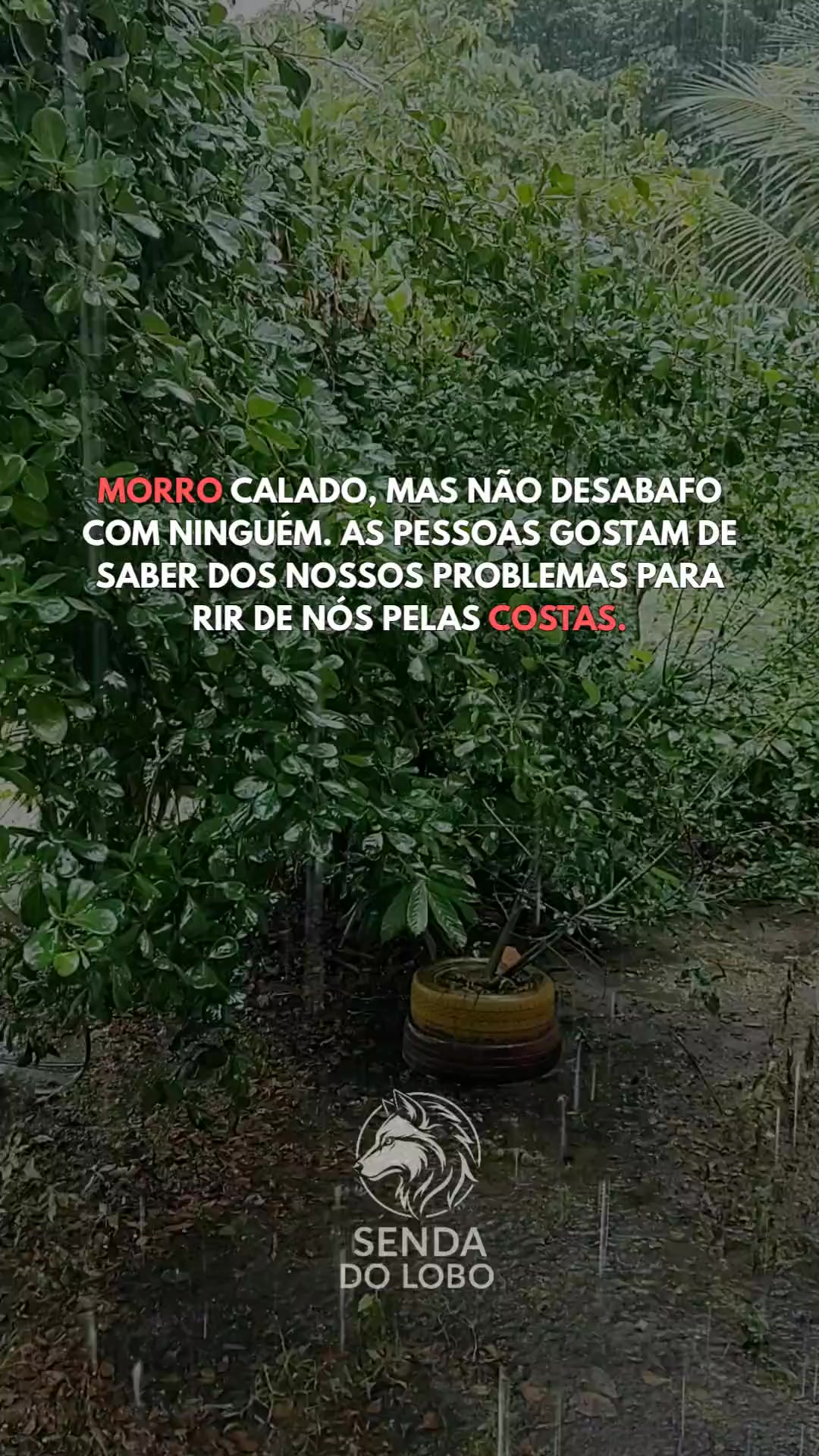 @Senda do Lobo