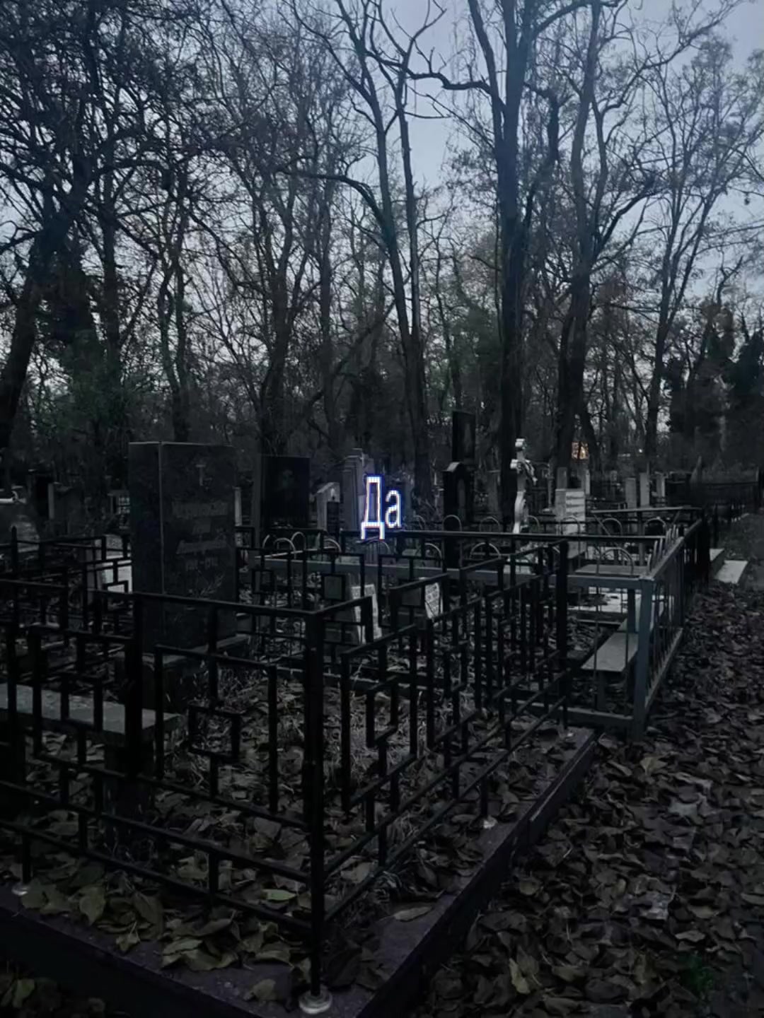 @魔法世界🌠