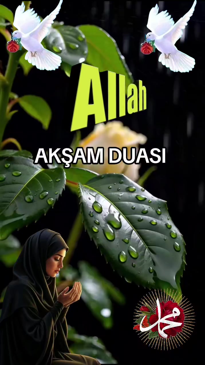 @aynur Kocakaya 280.🤲