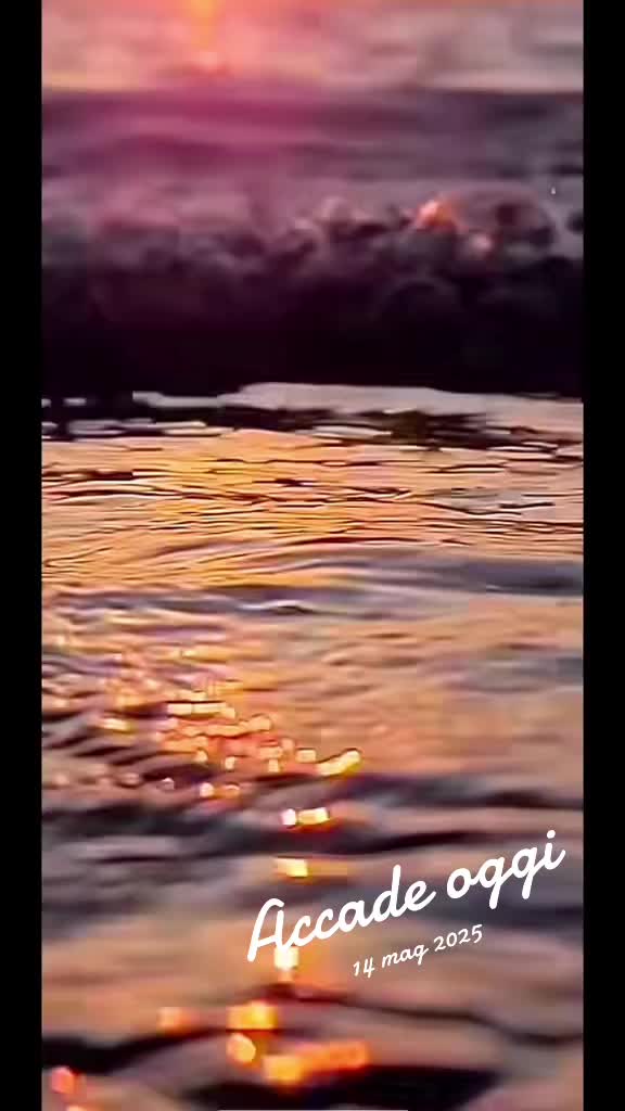 @incastroperfetto1