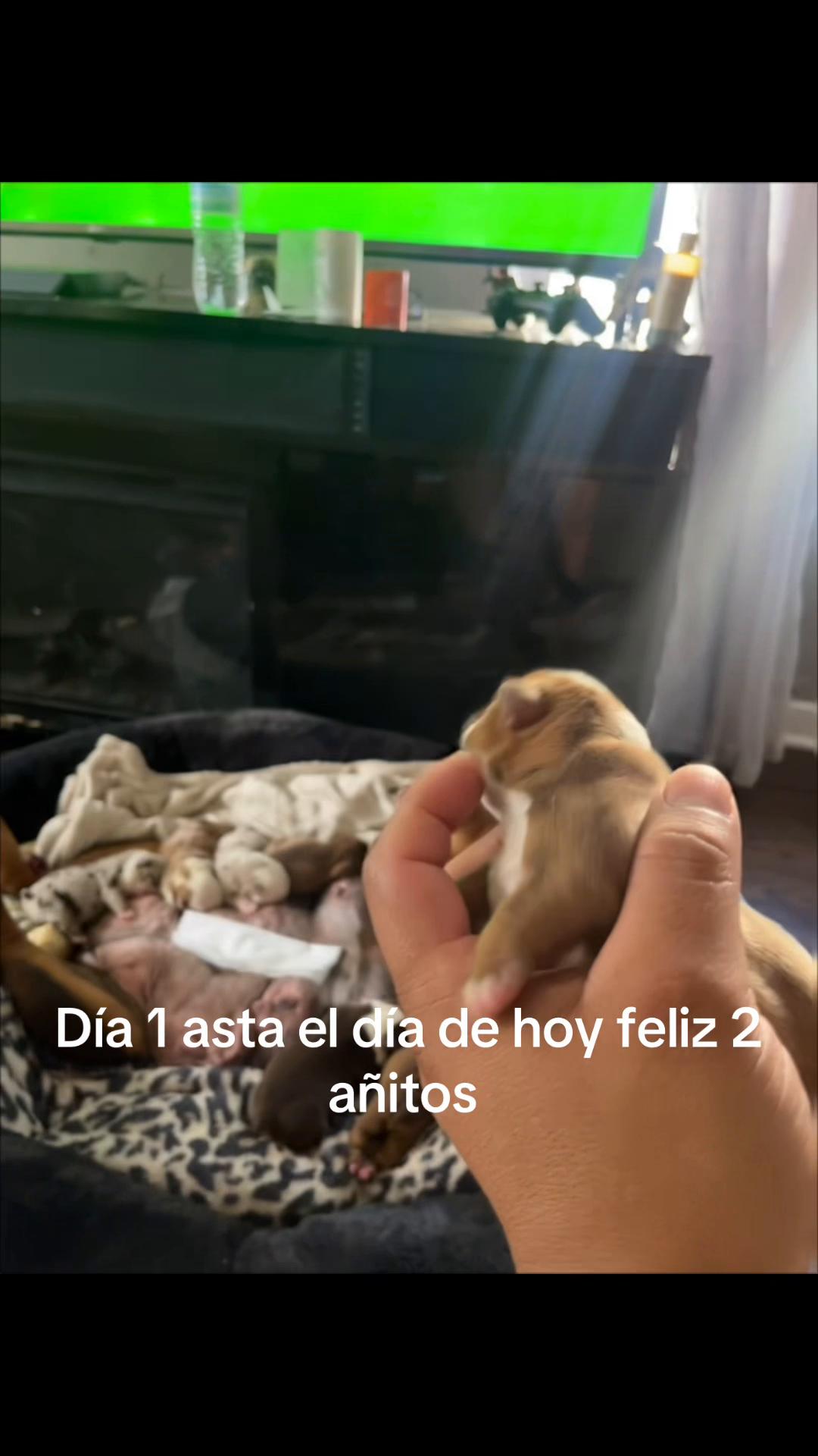 @Joel Rodriguez3889