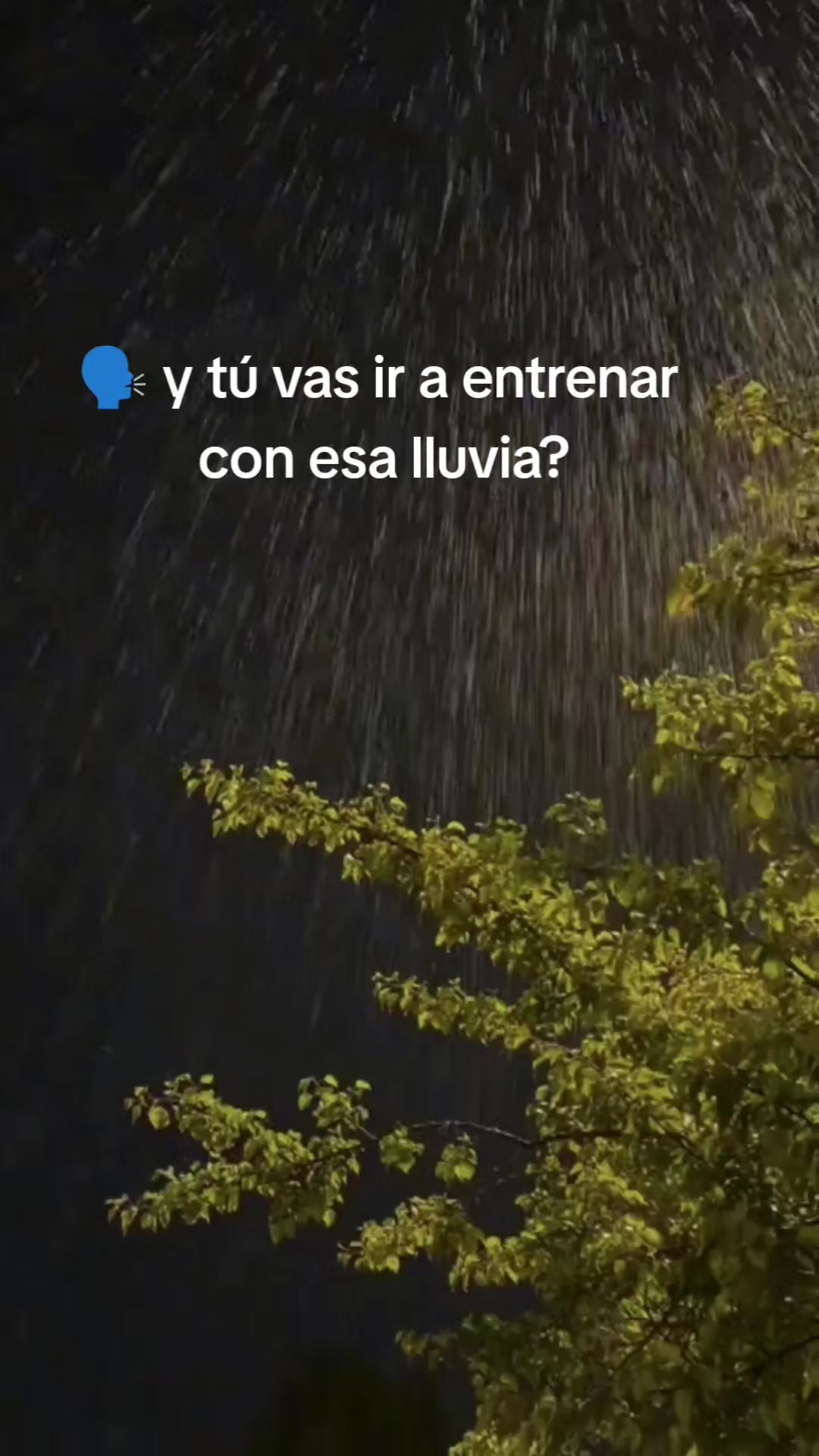 @JOS&Eacute;LUIS. MI HIJA ES UN &Aacute;NGEL