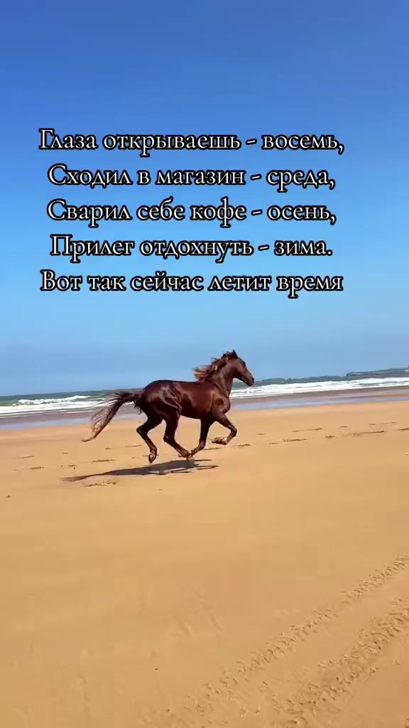 @Жазира