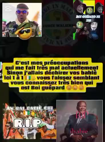 @ROI GUÉPARD N°1 223 🇲🇱