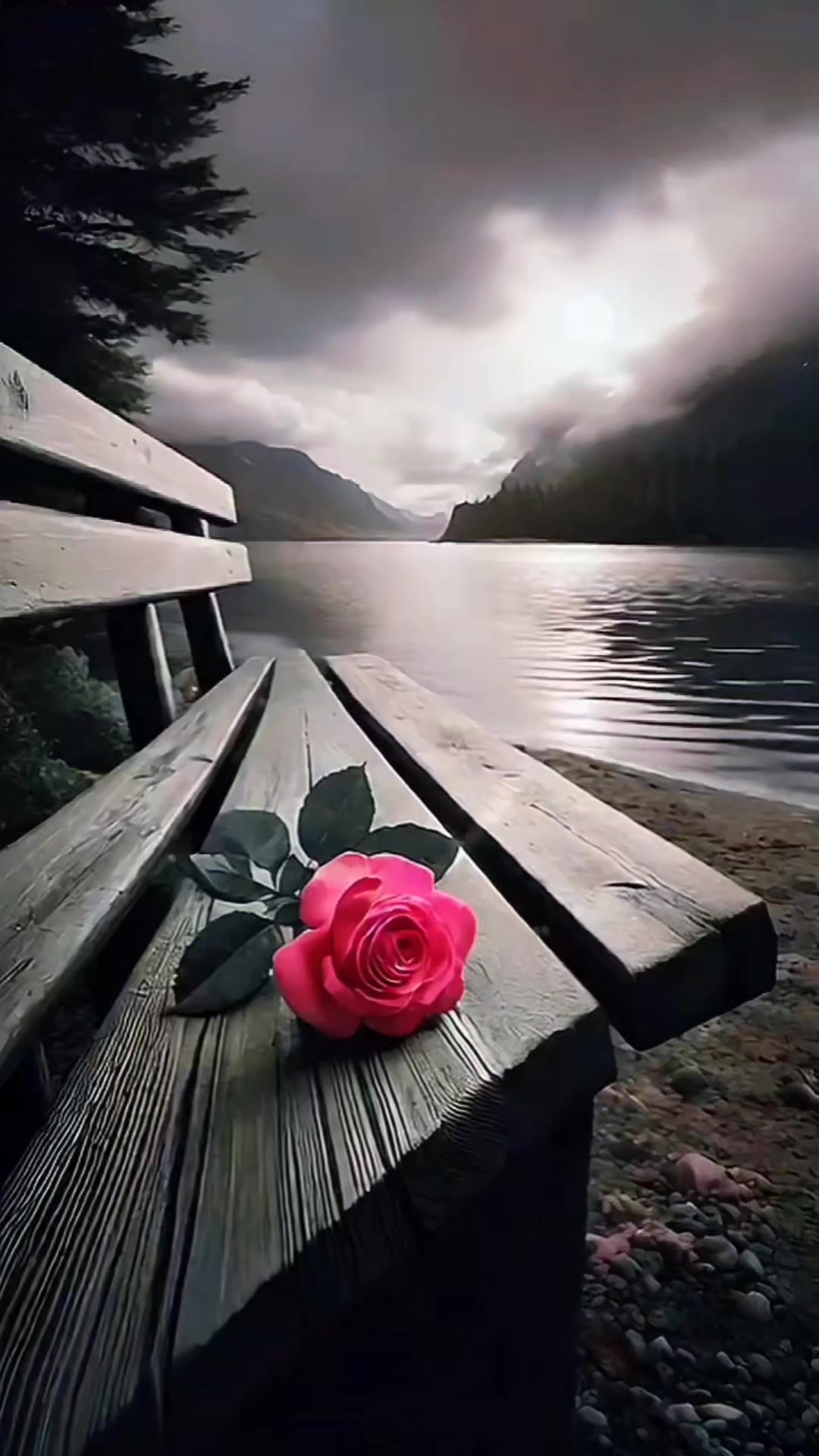 @A. R. B I J U