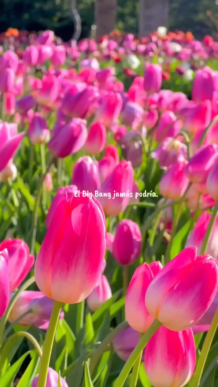 @❀𝑐ℎ𝑟𝑖𝑠𝑡𝑖𝑎𝑛 𝑔𝑖𝑟𝑙❀