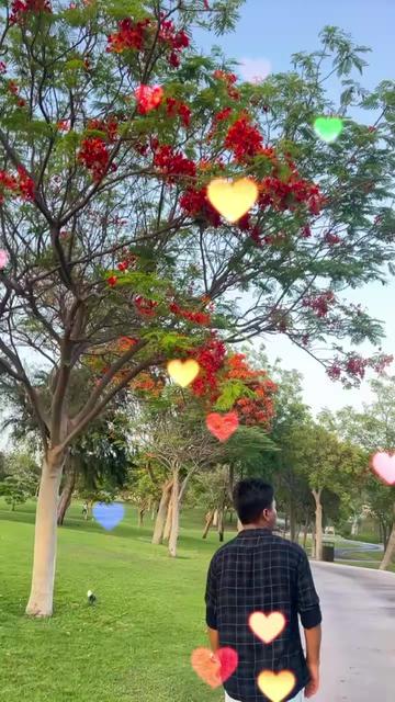@Ahmed Rabbil_24
