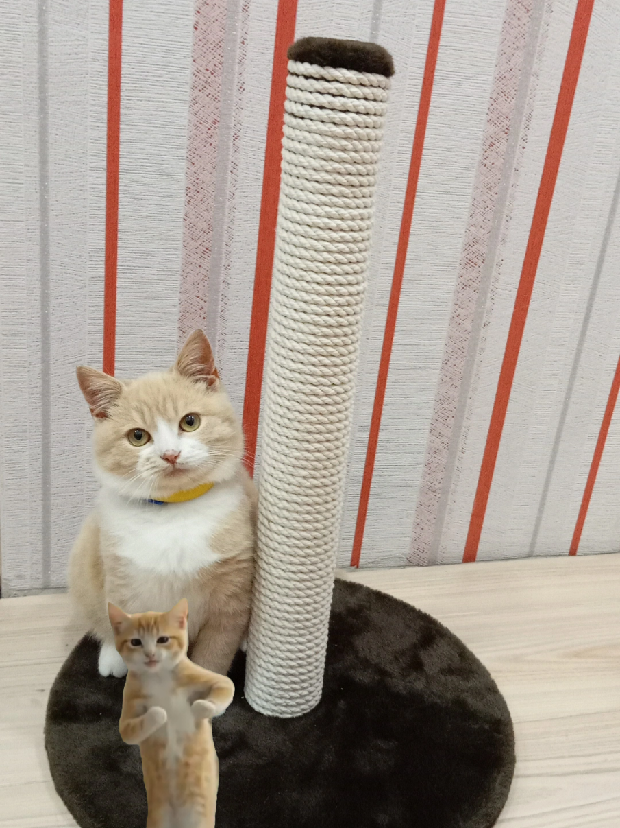 @Оля Максименюк