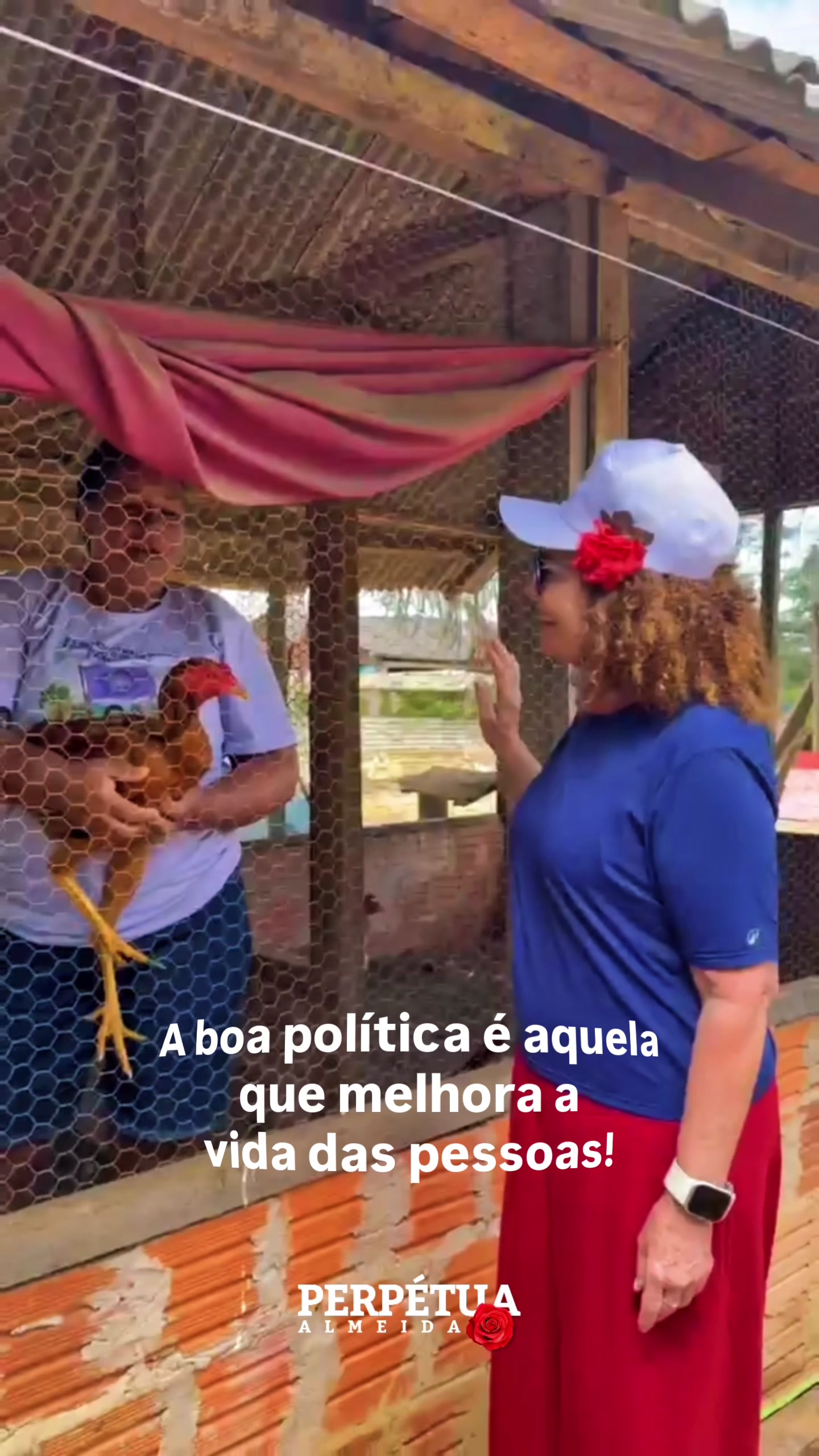 @Perpetua Almeida