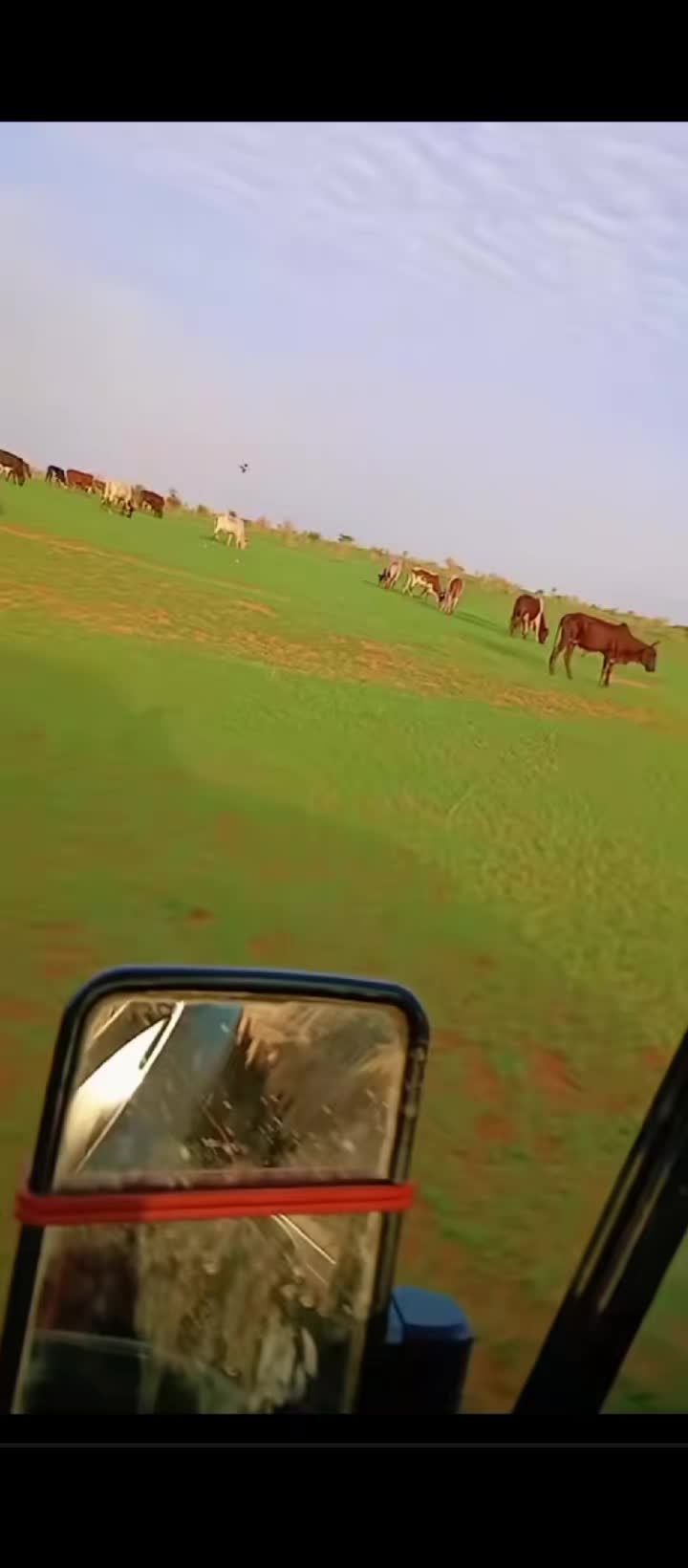 @🪶قلب 🫶 الغزال 🐎