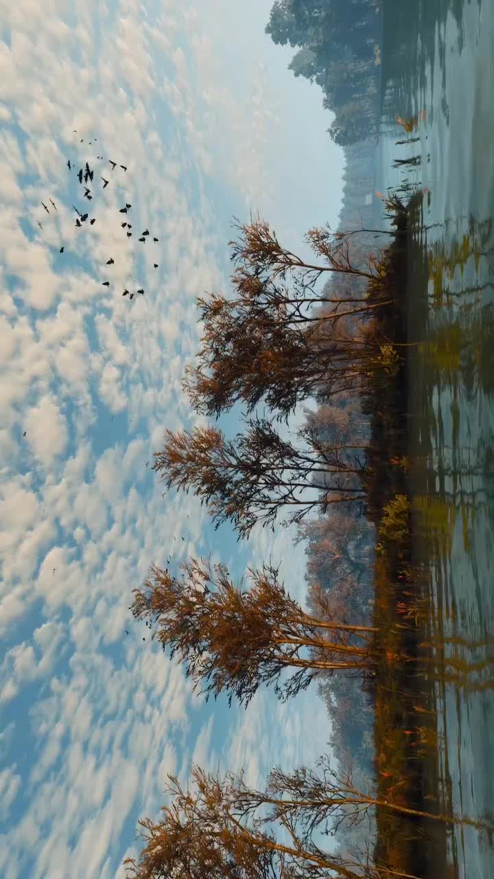 @ⵣ M O R A X ⵣ