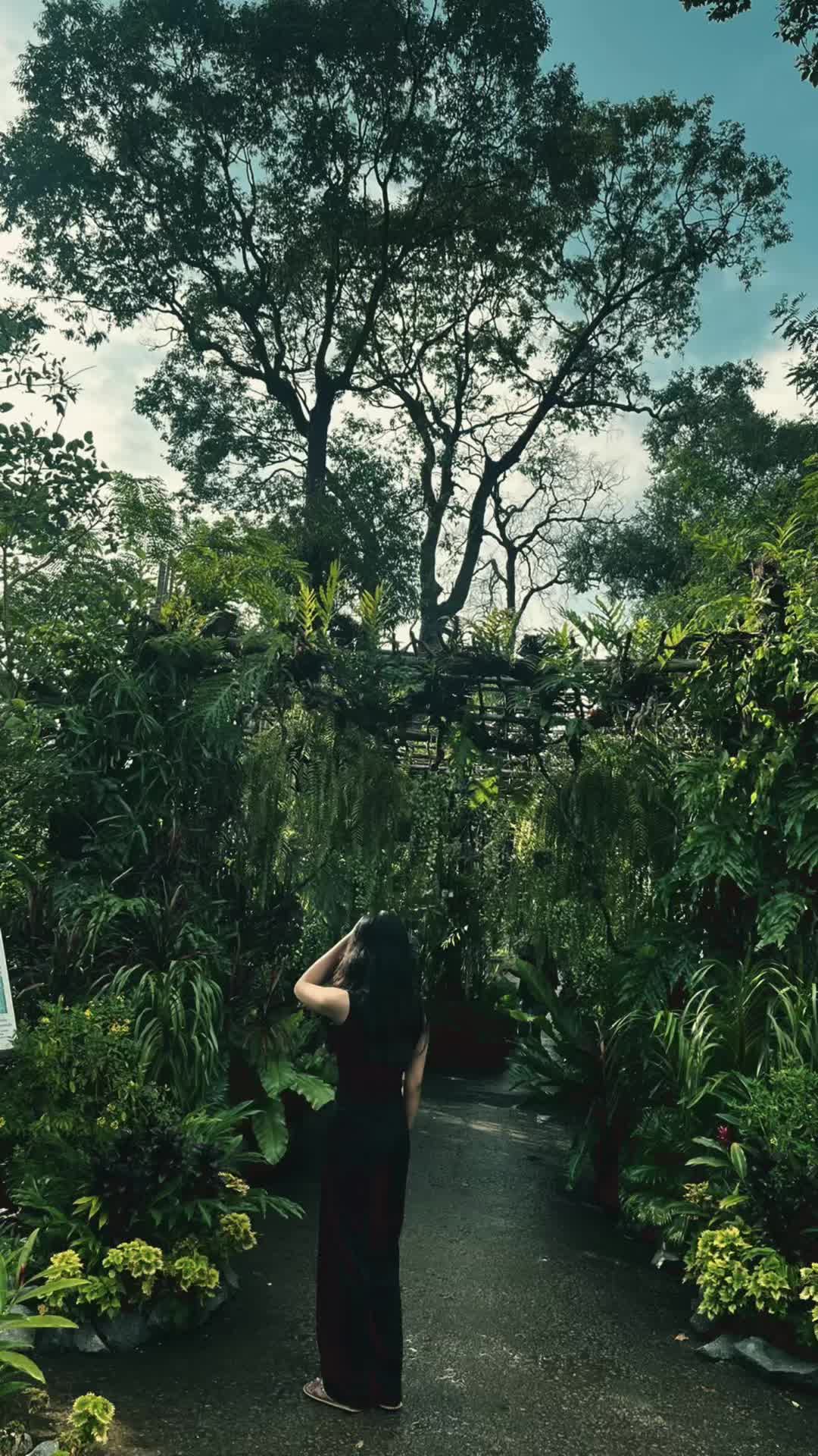 @𝒮𝓊𝓃𝓁𝒾𝑔𝒽𝓉