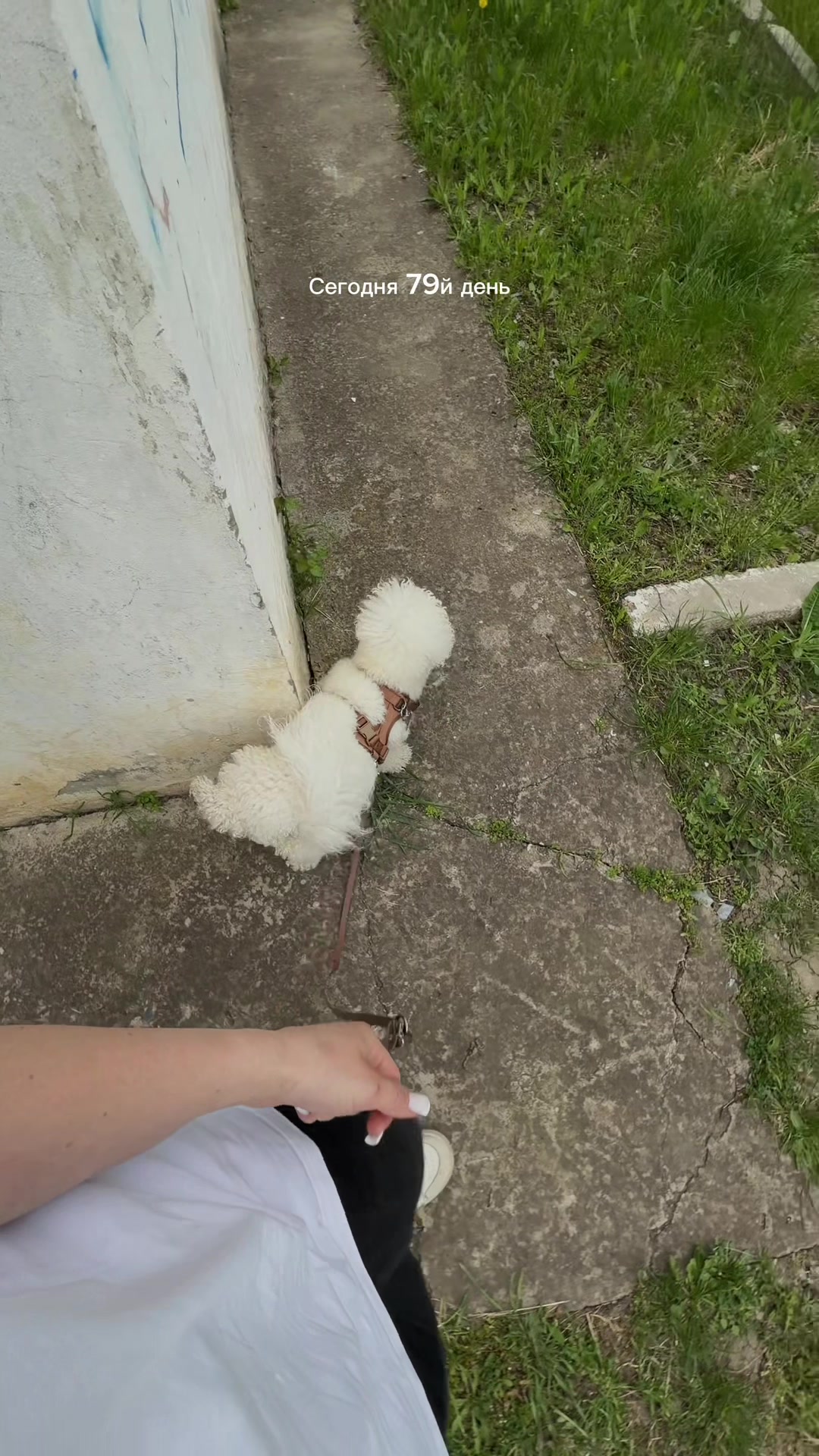 @Проживаю утрату мужа💔😭