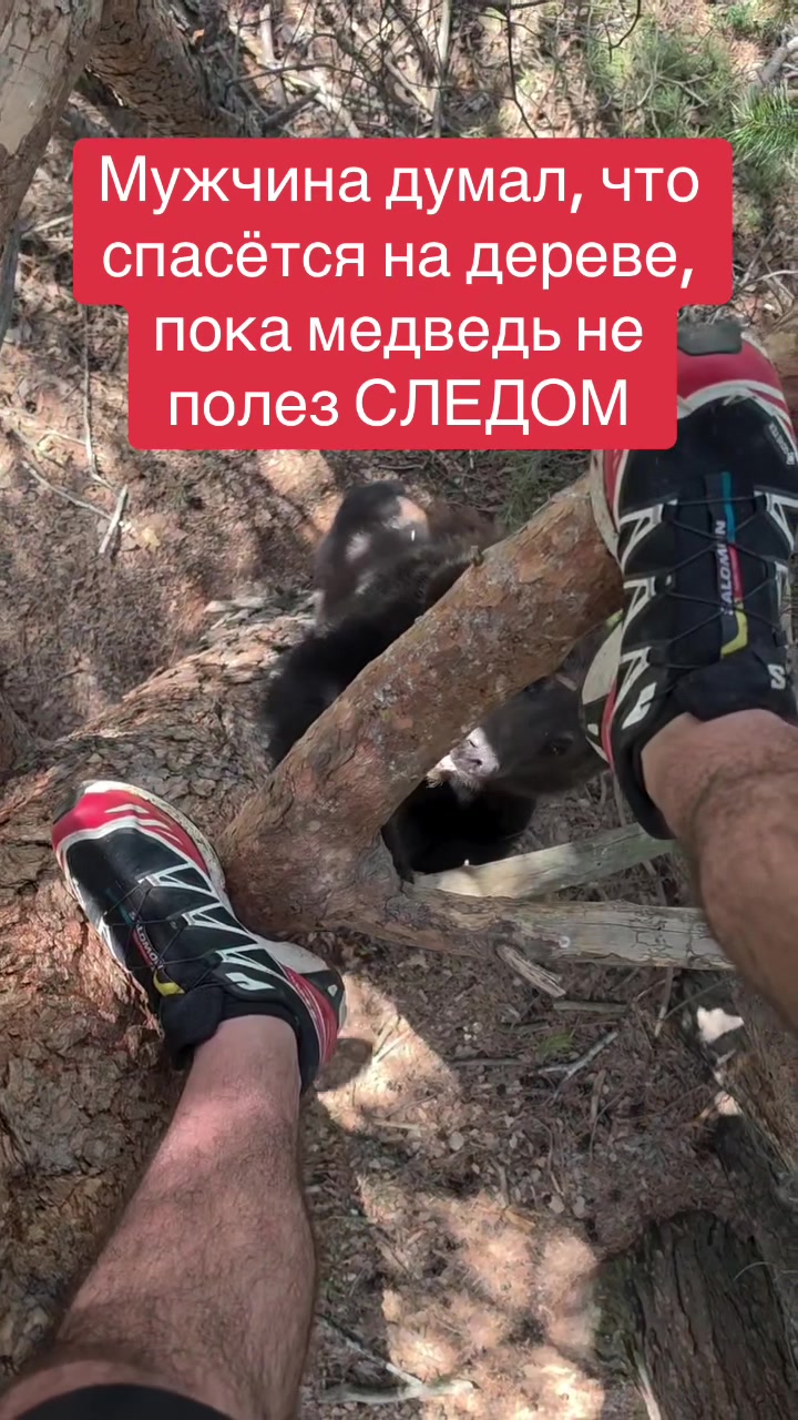 @shoblinskis