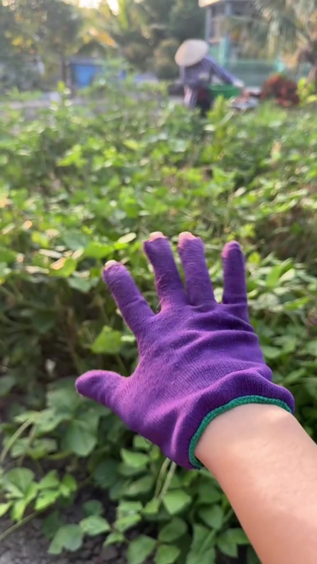 @Diên Diên