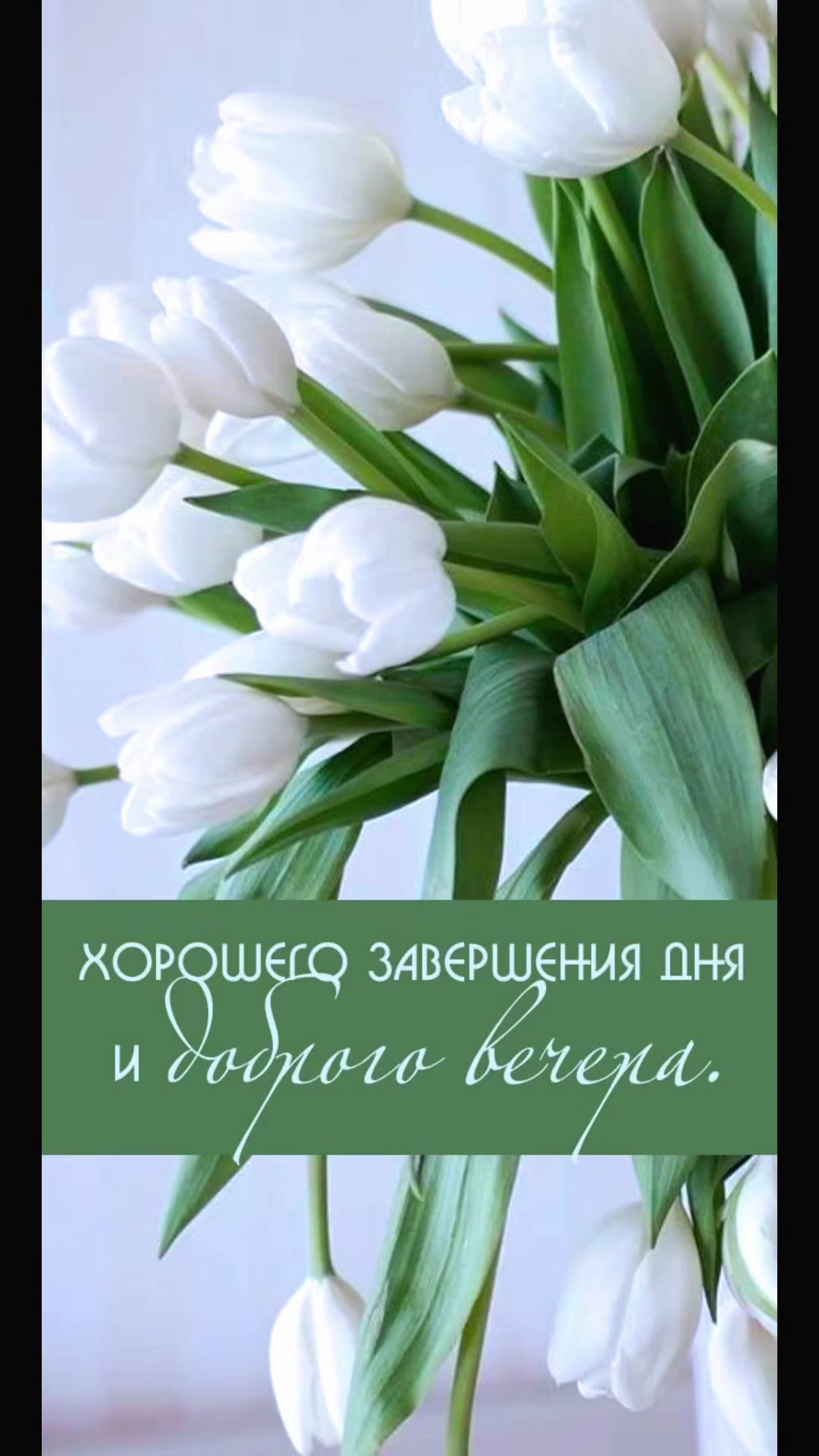 @🇧🇾 Елена 💞💞💞
