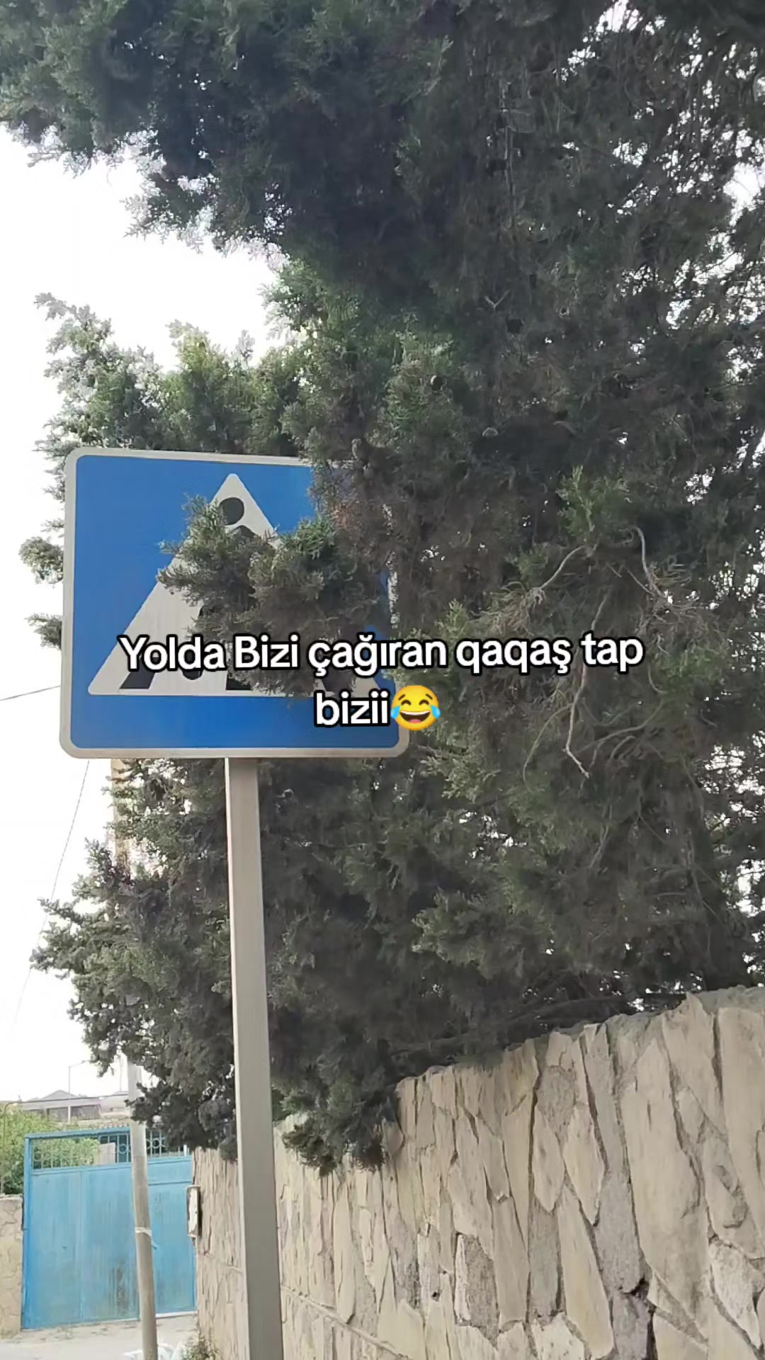 @Xəlilows⚡