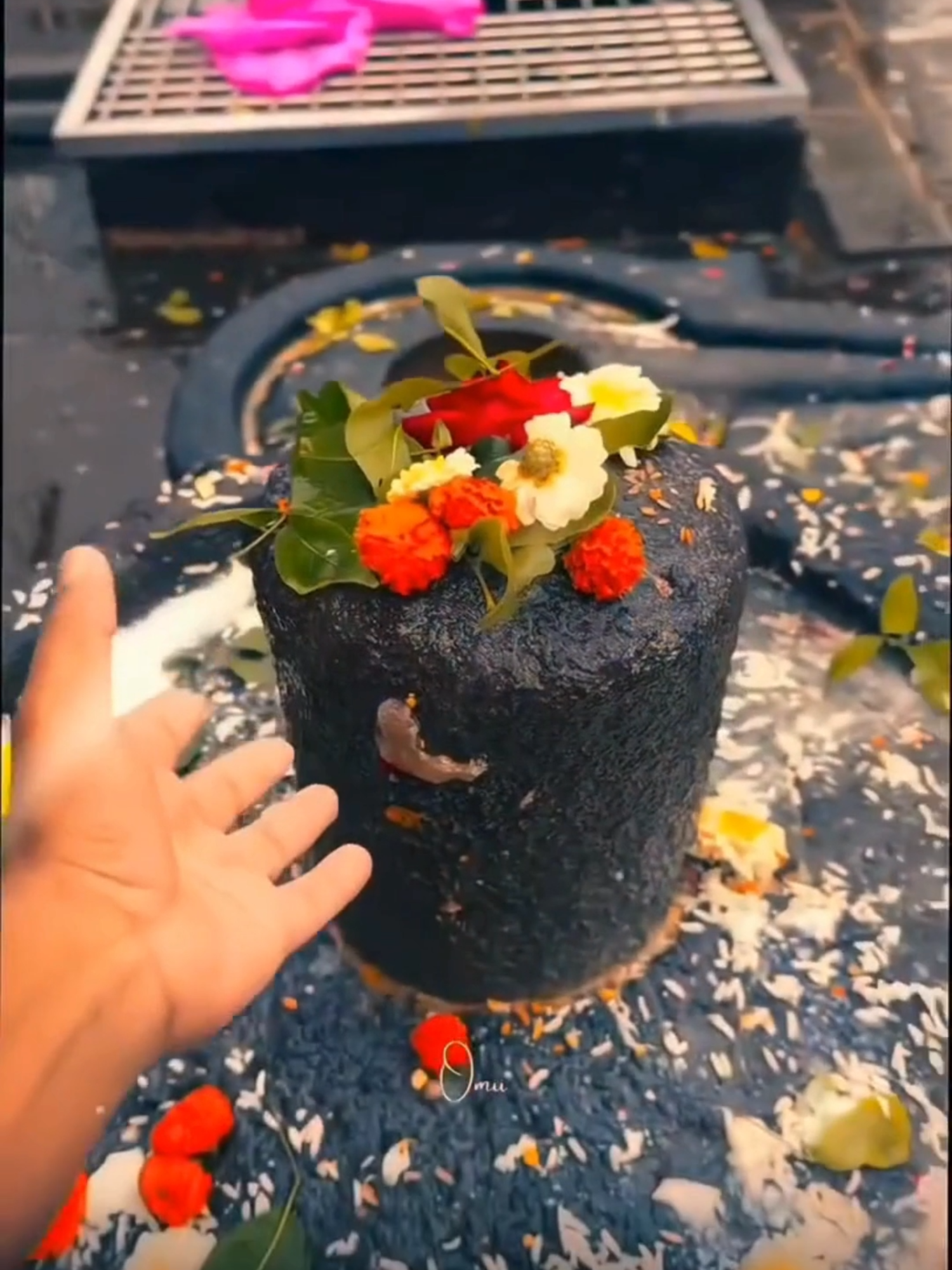 @➳🧡शिवभक्त 🚩🥀꧂