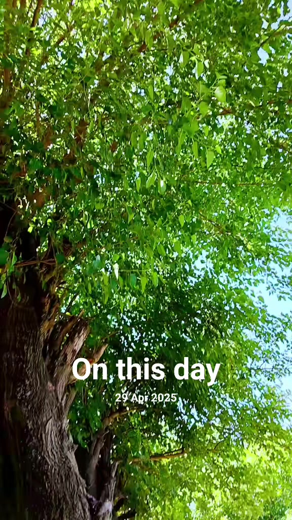 @fazlialimkhan