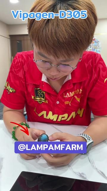 @Pang Adminlampam