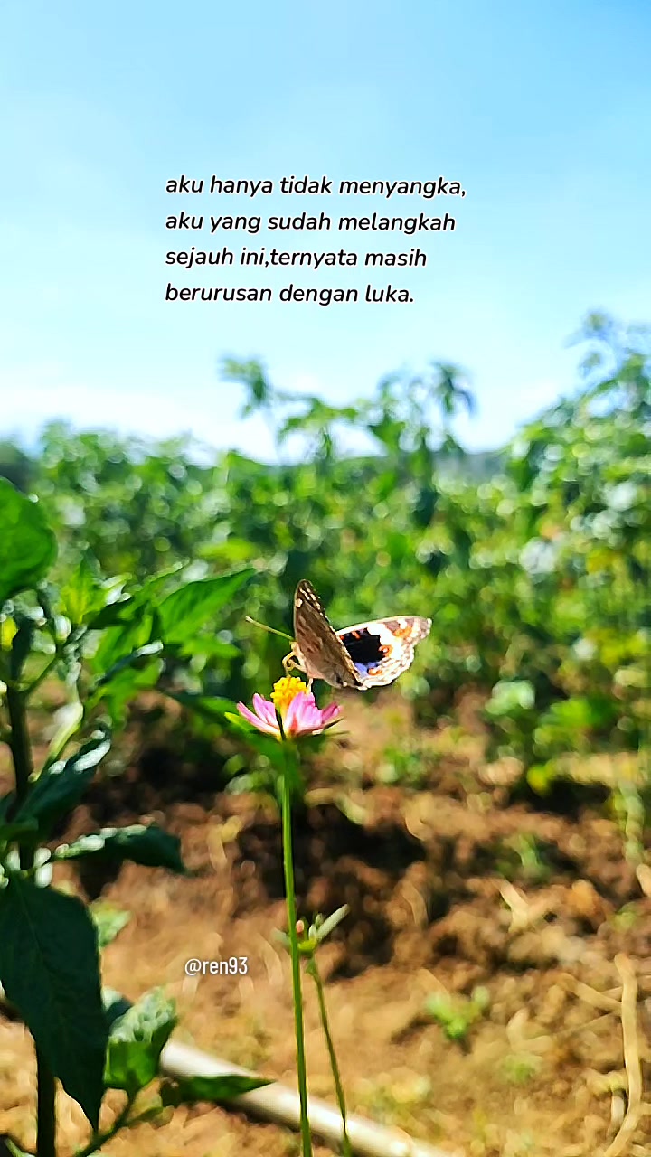@Mas Ren