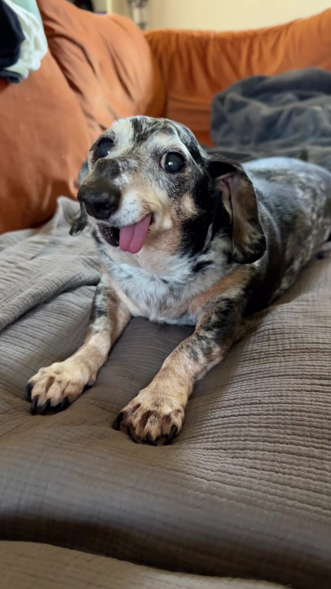 @agedsausages