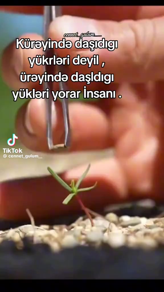 @Kam