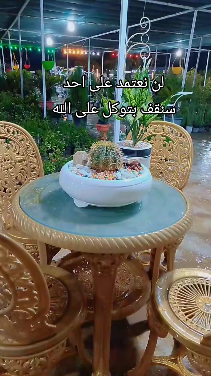 @🍂گوردسـتآنيـﮯ✨ عمـر 🌺