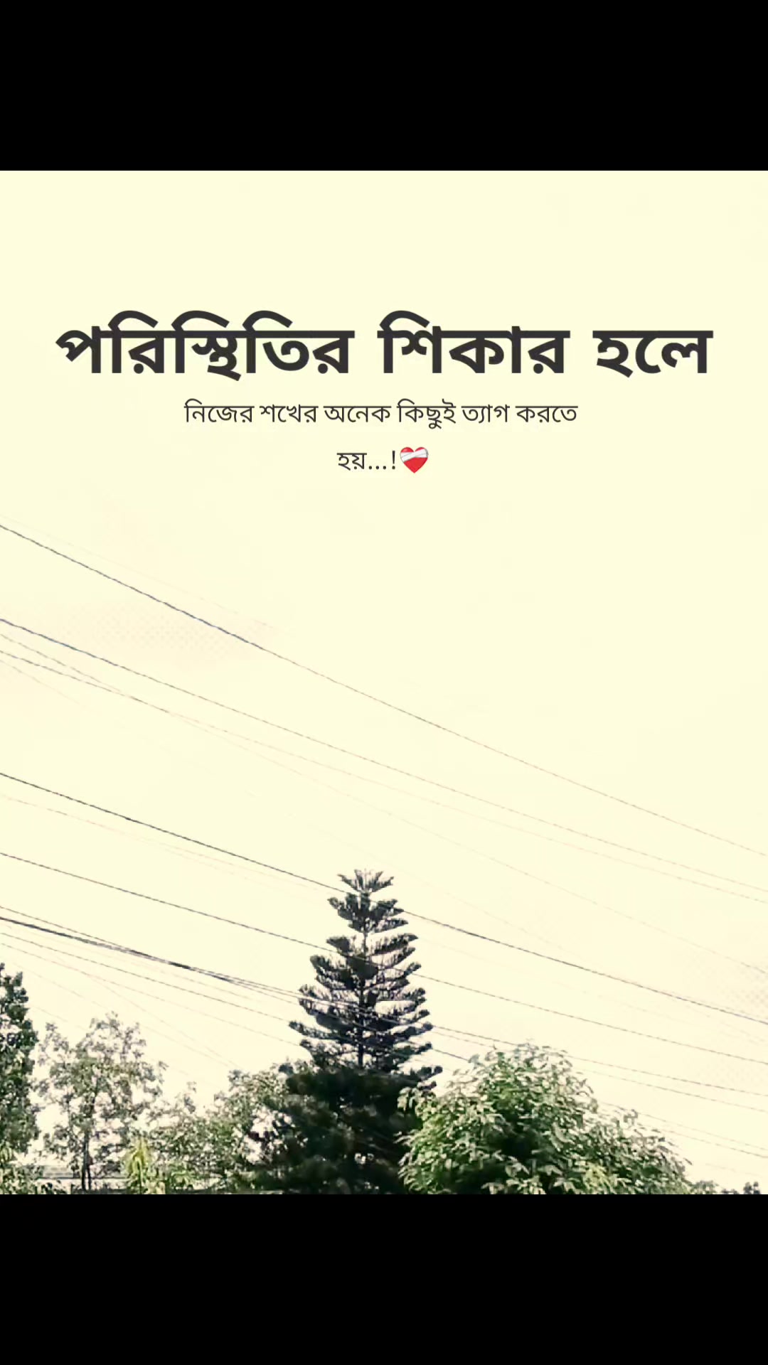 @꧁⭑শেষ পৃষ্ঠা⭑꧂