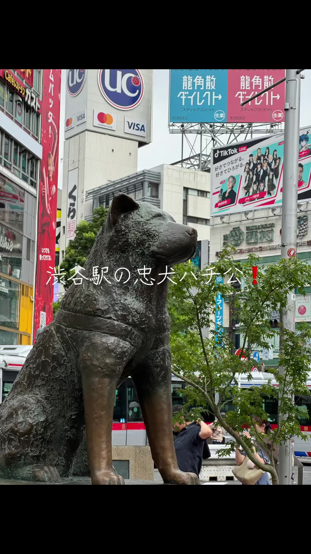 @🐯尼崎のてっちゃん🐯