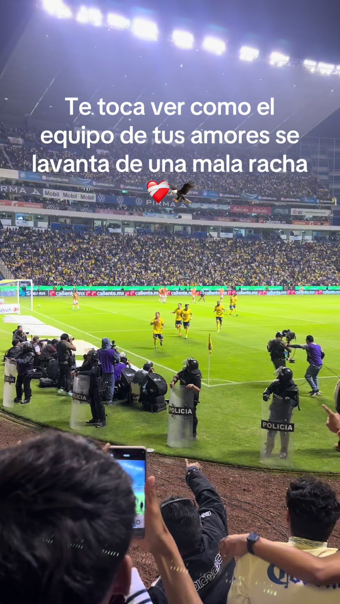 @Adolfo Gonzalez Ruiz