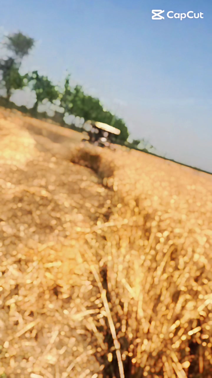 @چودھری ساجدگجر🔥